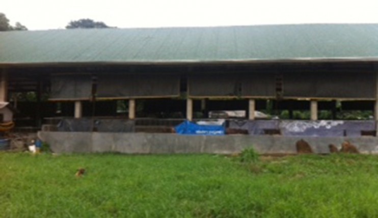 Photo 1 of For Sale Piggery Farm with Income in Pandi Bulacan