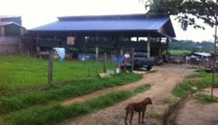 Photo 7 of For Sale Piggery Farm with Income in Pandi Bulacan