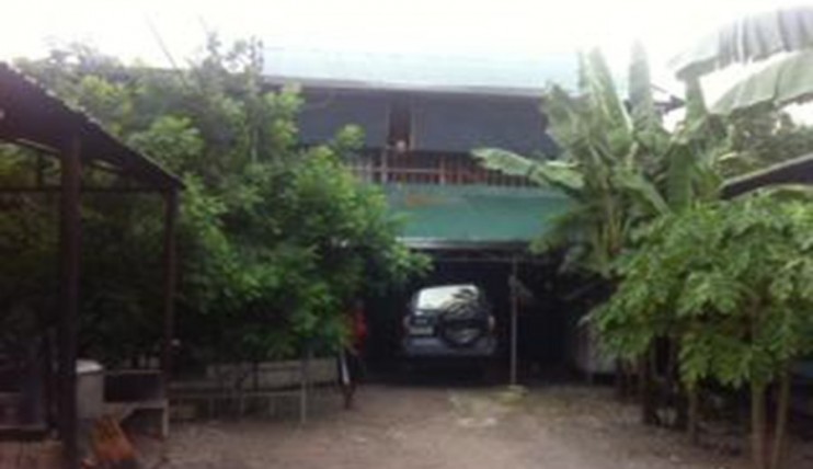 Photo 10 of For Sale Piggery Farm with Income in Pandi Bulacan