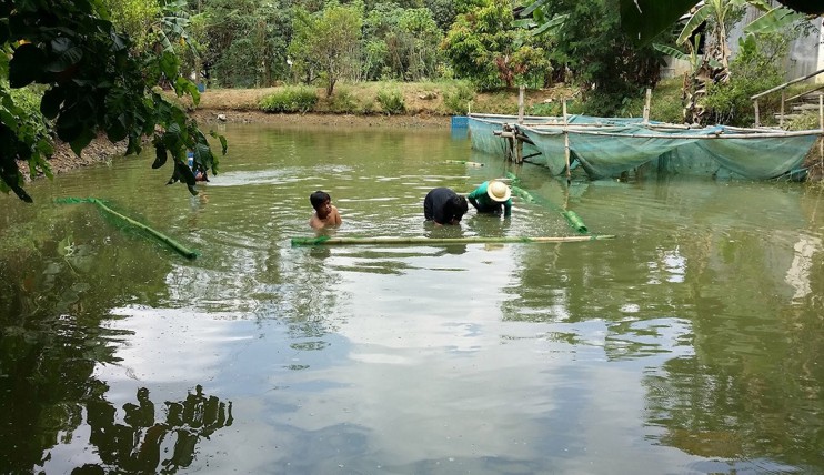 Photo 3 of Piggery farm with Fishpond in San Jose Del Monte Bulacan