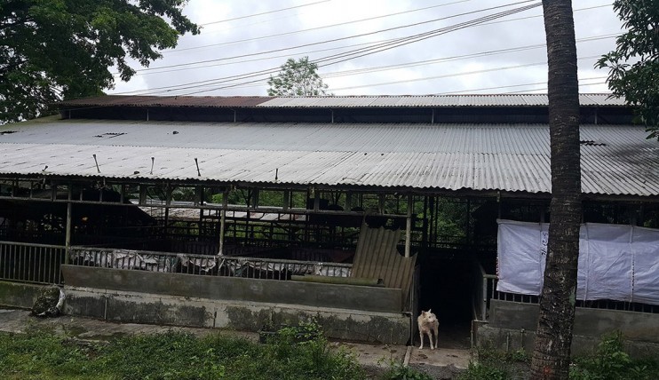 Photo 6 of Piggery farm with Fishpond in San Jose Del Monte Bulacan