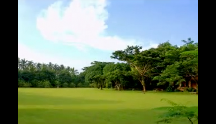 Photo 3 of Vacant Lot (landscaped and developed) in Tanauan Batangas