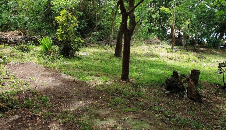 Photo 2 of LAKESIDE LOT FOR SALE: 600sqm on Lake Danao