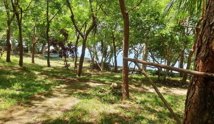 Photo 3 of LAKESIDE LOT FOR SALE: 600sqm on Lake Danao