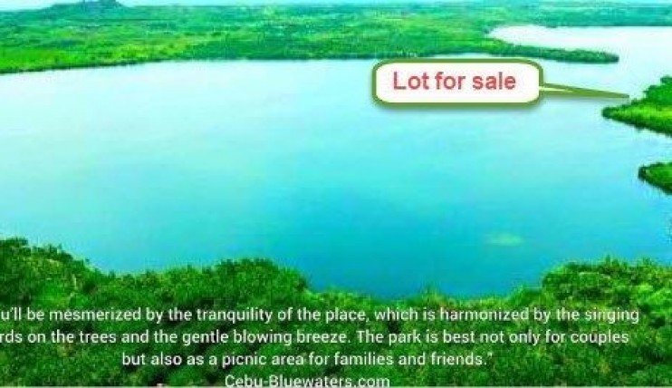 Photo 6 of LAKESIDE LOT FOR SALE: 600sqm on Lake Danao