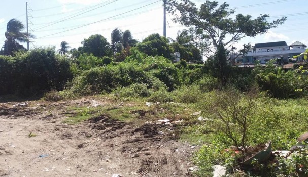 Photo 1 of For sale : 300 sqm Lot