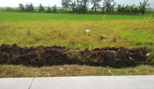 Photo 11 of Land Property Ideal for commercial establishments in Camiling, Tarlac